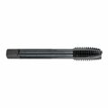 Sheartap Spiral Point Tap, Series 2090, Imperial, UNC, 71614, Plug Chamfer, 3 Flutes, HSS, Black Steam Oxi 34430